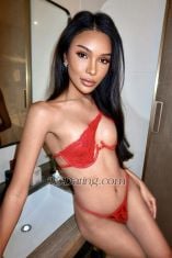 Top model Bangkok Transex Hello my name is Amily  I am half Thai 🇹🇭 and half
Norwegian.🇳🇴I’m 24 years old I have tan skin 
brown eyes I’m a tall girl 180 cm, and my body look
100% like photos.  I have nice cock 7inch, very strong
and cum a lot. I like to be  top,  and sweat bottom kiss
suck massage girlfriend experience
🍆🍑💦💋💦Please contact me if you interested
💦I can 3 some Pay pal , Transfer wise , Alipay
or Crypto - available   🍆WhatsApp: 
+66952876910🍆Line : aemmi_477🍆 ig :
Amily.janta  