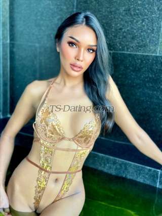 trans girl Topmodel 3669955 trans girl Topmodel 3669955