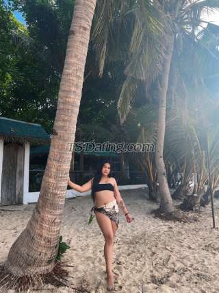 trans girl TransBigCock 8904698 trans girl TransBigCock 8904698