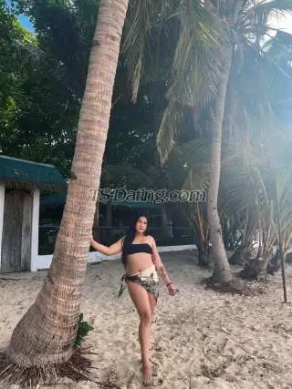 Shemale TransBigCock 8904698 Shemale TransBigCock 8904698