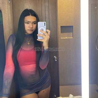 trans girl TransBigCock 8904844 trans girl TransBigCock 8904844