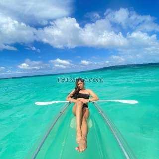 trans girl TransBigCock 8904896 trans girl TransBigCock 8904896