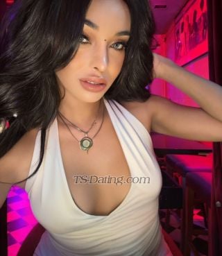 trans girl TransMocha 5079251 trans girl TransMocha 5079251