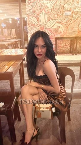 trans girl TransMocha 5445172 trans girl TransMocha 5445172