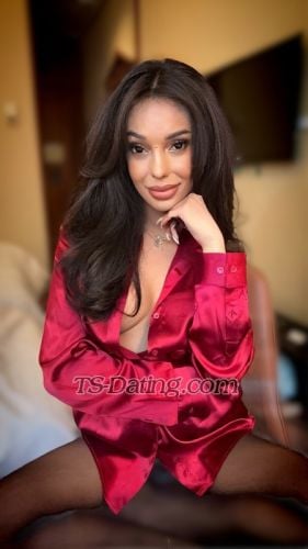 trans girl TransMocha 6623032 trans girl TransMocha 6623032