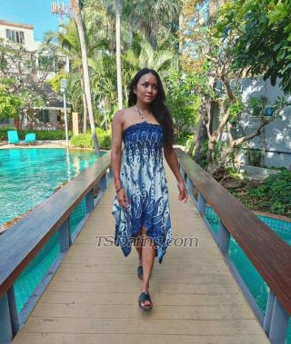 trans girl TransNicola 6103377 trans girl TransNicola 6103377
