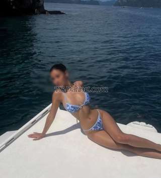 trans girl TransZoeRed 8231609