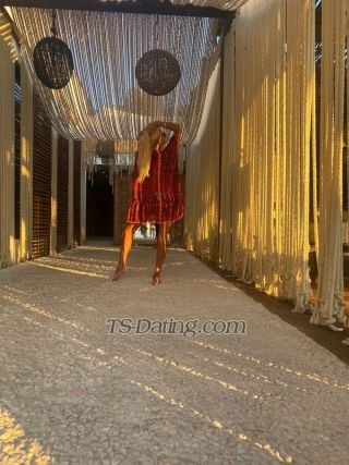 trans girl Transitalian 0558204 trans girl Transitalian 0558204