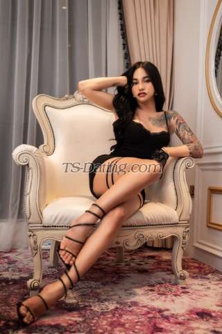 trans girl Transivy 5326780 trans girl Transivy 5326780