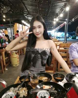 trans girl Treeyada 2586090 trans girl Treeyada 2586090