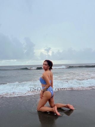 trans girl Ts7inchVersa 3101303 trans girl Ts7inchVersa 3101303