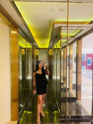 trans girl TsAngelica28 7334907 trans girl TsAngelica28 7334907