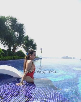 trans girl TsBee 2567317 trans girl TsBee 2567317