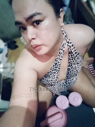 trans girl TsChiichay 7555648 trans girl TsChiichay 7555648