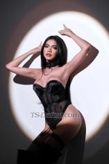 TsDANIGIRL Manila Transex Hi im TsDANIGIRL   ( YOU'RE BABY GIRL VERSATILE )

YOUNG AND FRESH !!!

SWEET AND TEEN !!!

Im here to make you happy and satisfied !!!


✅ Deep french kissing ( non stop ) 
✅ Sucking
✅ Licking balls 
✅ Raw rimming ( clean )
✅ Licking and sucking finger hands (clean ) 
✅ Fucking any position with condom
✅ Licking and sucking all over the body 
✅ 69  
✅No CIM
✅ I Can Fuck You Also 
✅ I Can Cum


LINE ID : itsdani-0914
TELEGRAM: itsdanigirl14
