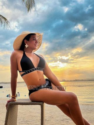trans girl TsDesiree 8950231 trans girl TsDesiree 8950231