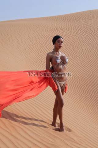 trans girl TsLiona 6950772 trans girl TsLiona 6950772