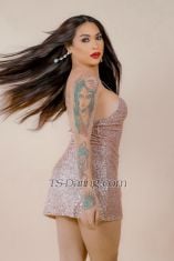 Olga Marie TsOlga123 TsOlga123 Kuala Lumpur Transex Whatsapp: +639678468015
Snapchat: Olga.hermosa02 
Telegram: olgahermosa02
Instagram: @iamolgahermosa99
>RATE & VOTE my Photos (Give some Reviews as well)
Hello everyone !!
I’m OLGA, 25 years old. From the Philippines. A 100% Fully-Functional Versatile. If you are looking for a busty, sexy and intelligent passionate creative Shemale then I am the one for you. With Dark brown eyes, long Black hair , standing at 170cm tall . My full B-38 cup bosom which enhances my natural curves. Be sure that whenever you spend time with me , you will have a unique experience., always coming up creative ways to enhance your experience and pleasure. Innovative and wonderful to be with and you will enjoy every moment spent together. 
I describe myself as a sexy ,confident, friendly affectionate as much as it makes me an ideal VIP companion.
I have an incredibly positive attitude, unique attributes which make me rather appealing
 to the discerning Gentleman in need of a ravishing seductress , the special Ladyboy for those gentlemen with the highest standards, who demand the very best. Someone who is simply unforgettable and you will remember your time with me for the rest of your life.
 
>SMS ONLY only to make a Booking. 
>Phone calls from private numbers will not be answered. 
>Please text me with:
1. NAME
2. AGE
3. NATIONALITY
4. WORK
5. HOW MANY HOURS?
6. WHICH DATE & TIME
7. MUST SEND PICTURES also
  
*Due to state legislation, I am unable to provide details of my services. Please contact me for information.
*I do not provide Unprotected Sex Services. 
*Safe Sex ONLY. 
>> I prefer to meet first time clients in hotels. If you are a new client and want me to come to a private residence I will ask some screening questions and will require ID/proof of address. Please note this is for my own safety, and if you're not willing to give me some personal information for my peace of mind then I am not willing to risk my livelihood in seeing you. 
 **Please note that discretion is incredibly important ,for both of us.
Olga Hermosa ***
