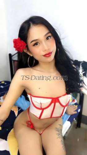 trans girl TsSexyStar02 3614463 trans girl TsSexyStar02 3614463