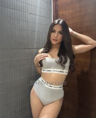 TsSofia0404 Dubai Transex My professional  dating service strongly believe in the freedom of expression and art, according to my values I aim to provide to the people a safe and trustworthy place to get their sexual fantasies, 

My name is Sofia i am Filipina Courtesan who love's to Meet and Cater men who knows what they want.. I am a perfect agent provocateur who can execute and cultivate your inner fantasies weather be a simple cuddle night when you have a long day at work. Or a fancy date when you need a company on your business meetings or could be the MiSTRESS who will punish you for being naughty


Indulge your self with a guilt free experience with one of the Hottest Ladyboy in town ..