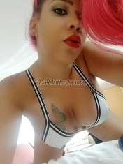 Thamarafoxx mistress TsThamaraFox TsThamaraFox Alicante Transex Super modèle transsexuel international ! Je mesure 6'0, je pèse 180 lb, un bonnet de poitrine, 38DD, une belle peau douce, de beaux cheveux, des courbes à couper le souffle, un GROS cul bombé, ainsi qu'une surprise 7x4 encore plus étonnante. AUCUNE promesse non tenue ICI. 718-300-7592 appelez maintenant une nouvelle fille, nouvelle en ville. Je suis PRÊTE et plus que disposée à répondre à tous vos besoins et désirs érotiques ! Vraiment unique en son genre ! Je suis votre fille d'à côté dangereusement séduisante et addictive avec le côté coquin dont vous rêvez. Évadez-vous de l'ordinaire vers l'extraordinaire et découvrez le meilleur des deux mondes. , je suis fière de mon apparence féminine et de mon hygiène irréprochable. Je vis ma vie de femme à temps plein 24h/24 et 7j/7. Je suis toujours très soigné, bien habillé, manucuré et pédicuré. (Il n'y a pas de tromperie avec moi) - Quand vous arrivez, ce que vous voyez, c'est vraiment qui vous rencontrerez ! Je souhaite la bienvenue aux débutants, aux débutants, aux hommes mariés et aux messieurs curieux) car je suis très compréhensif et ouvert d'esprit. Session VIPDOMINATIONS, FÉTICHE, JEUX DE RÔLE, BONDAGE, GFE, MASSAGES, FORMATION SISSY, HUMILIATION ET PLUS!!!! Belle Agréable Facile à vivre NE VOUS TROMPEZ PAS PAR LE RESTE, FOURNISSEUR DE QUALITÉ !!!! Sortir en ville ou regarder des films au lit. Je suis la meilleure option pour toute occasion.