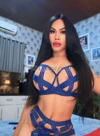 Cortez Ts cortez Ts cortez Brisbane Darwi Transex Ehi caro, incontriamoci per un buon servizio. Il più caldo e fantastico, spendi i tuoi soldi per un buon servizio, niente stronzate, ma realtà, nessun sogno, credimi e realizzalo, divertirti è un piacere per me. Sono disponibile a casa mia per farti sentire a tuo agio, quindi non perdere la mia bontà, sono il benvenuto ad aspettarti. Sono una brava persona ✔ atteggiamento gentile, ✔ educata, ✔ giovane, ✔ sexy, ✔ hot, ✔ fresca, ✔ sana, ✔ sicura e pulita 💯 ✔ posso renderti felice a letto e veniamo insieme, cara, con la mia fantasia 💦💦💦 SONO DISPONIBILE PER ~~~PAY.PAL💰💸~~~ FOTO REALE/NON SERVIZIO FOTOGRAFICO/👉💯📸📸📸✔ -esperienza da amica✔ -sopra&sotto✔ -versatile ✔ -grande cazzo ✔ -cazzo duro✔ -aggressivo ✔ -bacio alla francese ✔ -massaggio sensuale ✔ -Buon pompino 69✔ -attivo/passivo✔ -sessopazzo ✔ -Aggressivo ✔ 👉NON PROVARE MAI NON SAPERE MAI👌 WHATSAPP+610422776082📱📲 // NON FARMI PERDERE TEMPO#NESSUN DRAMMA#//TROPPE CHIESTE//BLOCCA# #NIENTE CAZZATE#SOLO COSE SERI#