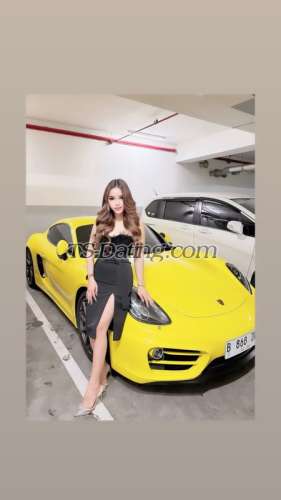 trans girl Tsdaradilla 5262239 trans girl Tsdaradilla 5262239