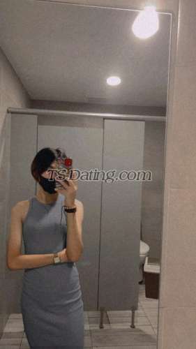 trans girl Tskyline 7308432