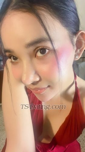 trans girl Tslolly 6498274 trans girl Tslolly 6498274