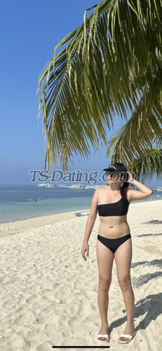 trans girl Tsmauiuy 8665281 trans girl Tsmauiuy 8665281
