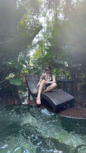 trans girl Tsmauiuy 8666100 trans girl Tsmauiuy 8666100
