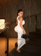 Tsmhara96 Kota Kinabalu Transex Mharra No.1 Porn Star in Asia in your town📍

Petite, sexy,with a very huge boobs size 800cc or cap D38 and perfect tan skin with a very big ass that makes you horny every time when you fuck me with no mercy and got 5inch thick dick and unapologetically tempting—I’m Mharra, the name that lingers in your mind long after we meet. Sweet at first glance, but with a naughty, playful edge that slowly draws you in and keeps you wanting more. Small in size, but full of confidence, charm, and irresistible energy.
A pretty exotic fully functional tool shaved and clean. And I’m on (PREP) I know how to make you enjoy and feel very satisfy, and make you feel so good. 

 
I create a space where chemistry flows naturally—soft conversations, teasing smiles, and moments that feel effortless yet unforgettable. Whether you’re a first timer or experienced, I’ll match your vibe and make every second feel exciting, comfortable, and addictive.


❤️ Open for selected collaborations
❤️ Welcoming first-time guests
❤️ Discreet incall & outcall arrangements
❤️ Versatile companion (Top & Bottom, fully functional)
❤️ Verified real photos
❤️ Lingerie & high heels provided
❤️ Exclusive experiences available upon request (rates may vary)
❤️ Girlfriend Experience (GFE)
❤️ Threesome option (female arranged by client)
❤️ Private camshow sessions available
❤️ Bareback but the price is different with normal services 
❤️ fetish clothes, client feminization 


Payment:
Malaysia local bank transfer, Wise, BigPay, PayNow, Touch ‘n Go, or Cash

Kindly Note:
Advance confirmation (30–60 minutes) is required prior to booking. ❤️

Wechat id 👉 Mharra12345
Twitter id  👉 Mharra_g
Telegram id 👉 0135093953 or @Mharra96
Instagram 👉 Mharra_Maganda 


You can subscribe all my hot sexy videos content On my
Telegram i have 90+ Sexy hot and wild content here’s my id of my telegram: Mharra96 or my number 0135093953
Duration of every video 40-30 minutes 
Have kinky 
Have bdsm
Have 3some
I fuck and get fucked
And many more.. 
