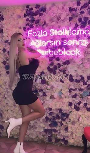 trans girl Tsnaz 7544159 trans girl Tsnaz 7544159