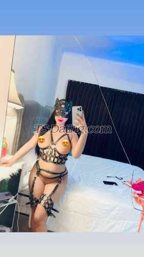 trans girl Tssarah 5816086 trans girl Tssarah 5816086