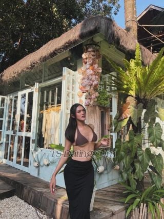 trans girl tania69 2138078 trans girl tania69 2138078