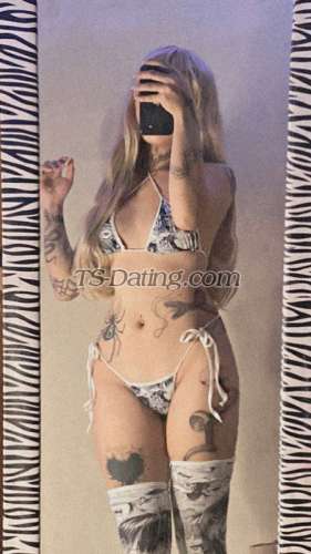 trans girl tattedshane 3398575 trans girl tattedshane 3398575