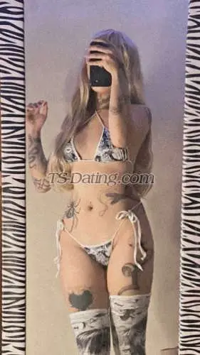 Shemale tattedshane 3398575 Shemale tattedshane 3398575