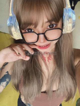trans girl tattedshane 3398598 trans girl tattedshane 3398598