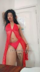 thayra endara thayra endara thayra endara Santo Domingo Transex Tayra votre brune chaude 🔥et douée 🍆 prête à effectuer des trios traitement orgie et traitement de couples sexe oral gorge profonde naturelle baisers noirs mutuels et sexe vaginal oral pour vos couples disputez vos fantasmes fétichistes sexe avec censure avec moi Bonne dotation n'attendez pas que je vous le dise venez profiter avec votre brune chaude et douée 🔥🍆🍑