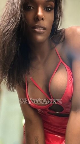 trans girl thaysa 6571547