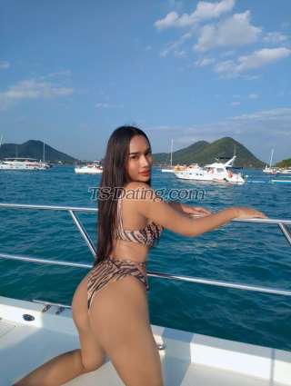 trans girl thitichaya24 3050111 trans girl thitichaya24 3050111