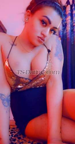 trans girl tinawalecha 8669978 trans girl tinawalecha 8669978