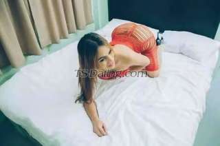 trans girl transmercy 3679491 trans girl transmercy 3679491