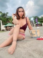 tsAikolove Wanchai Transex hi Im your Newest ts in town. Aiko is my name and sex is my
game. REAL DEAL im fit 28 years old with a fully functional
big cock and im 100% sure on that.come and try my big dick
that can cum a lot. No many words or lies just come and try
me.Wechat:Aikolove2728
Phone:+85297848341Whatsapp:+85297848341Let me
fullfill all your fantasy.. limited days onlyHave a
great day ahead to all