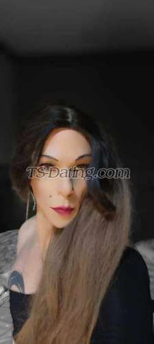trans girl tsfemdom 7829805 trans girl tsfemdom 7829805