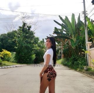 trans girl tsjarde 8483496