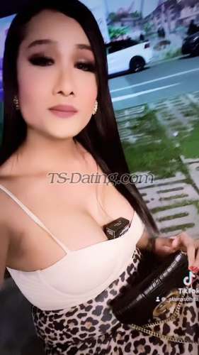 trans girl tslilie 3730041