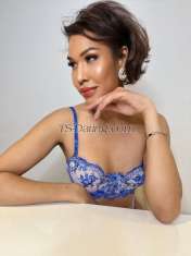 tsselena Singapore Transex ***CHECK OUT MY onlyfans.com/isthatselenaMY
PRIVATE PICS & VIDEOS CLICK THE LINK
BELOW’onlyfans.com/isthatselenaTr
avel around Europe & Middle EastSexiest Exclusive
Definitely VERSATILE Transexual Tranny Model
Escort with A Hard 7 inches cock guaranteed, Meet TS SELENA
Most exclusive elite top feminine beauty -A Woman of class.
Natural Beauty with exclusive real LADYboy shemale
experience. This is a high end exclusive escort service NOT
prostitution service strictly. The rates below are for time
reimbursement for travel and consultation.
Only professionals/ gentlemen whom are
respectful with good etiquette only and STRICTLY NO
Timewasters or text buddies.INCALLS/OUTCALLS- This
is a very exclusive high end exclusive escort ladyboy tranny
girlfriend experience for the ”right gentlemen” only.
High class refers to only selective bookings of genuine
gentlemen with good social ethiquette and mannerisms. Only
Gentlemen whom are of good personal hygiene and with good
grooming and manners are welcome.By
contacting me (either through phone or email) you agree to
ALL of these terms and hereby CERTIFY that you are not part
of any law enforcement agency using this advertisement for
entrapment or for arrest. This is a contract you agree to by
contacting me. I have legal representation and
know my rights fully.