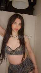 tsshere Malmo Transex Welcome to my page🔥🔥🌶I am a very beautiful
transsexual, with delicate, soft, and feminine skin. I am
very clean and safe. I have a big butt and a big
penis🍆🔥🌶 I am always ready for anything
🥂🍻💃👩‍❤️‍👨I am very reserved and
cooperative. I have many talents. I have everything a man
could desire.I can also make a video call anytime or if
u want just talking to me sex chat Also here on my page are
all the links to my pages and videos.Or sell my sex
videos 📹 🔥🌶