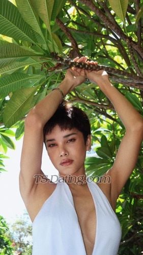 trans girl tsthbkk 3598497 trans girl tsthbkk 3598497